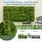 Artificial Hedge Boxwood Panels 20x20 Inch, 12-Pack for Wall or Fence